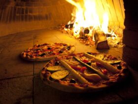 What is Best Wood For Pizza Oven in UK